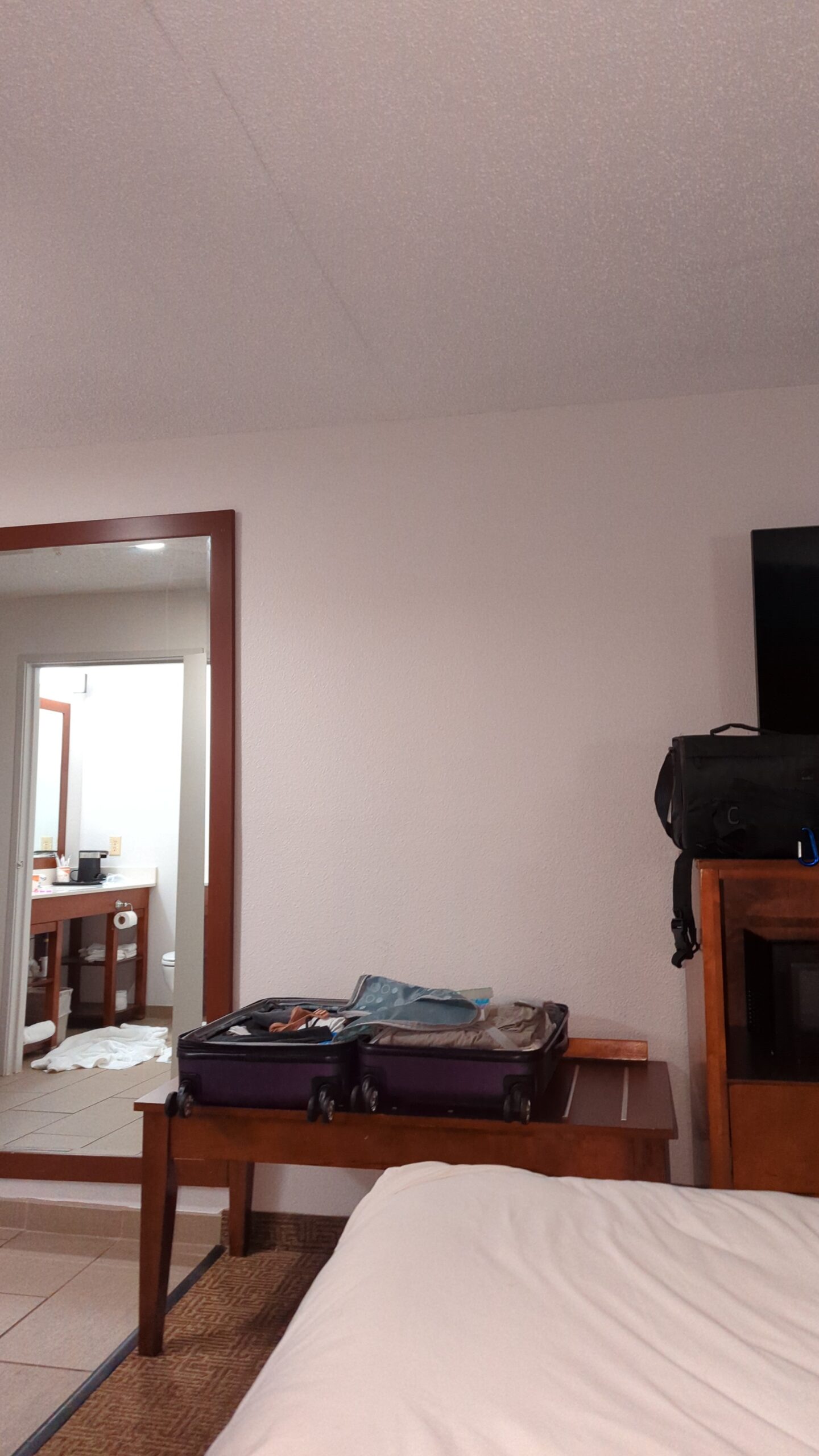 Review: Comfort Inn Airport, Plainfield Indiana