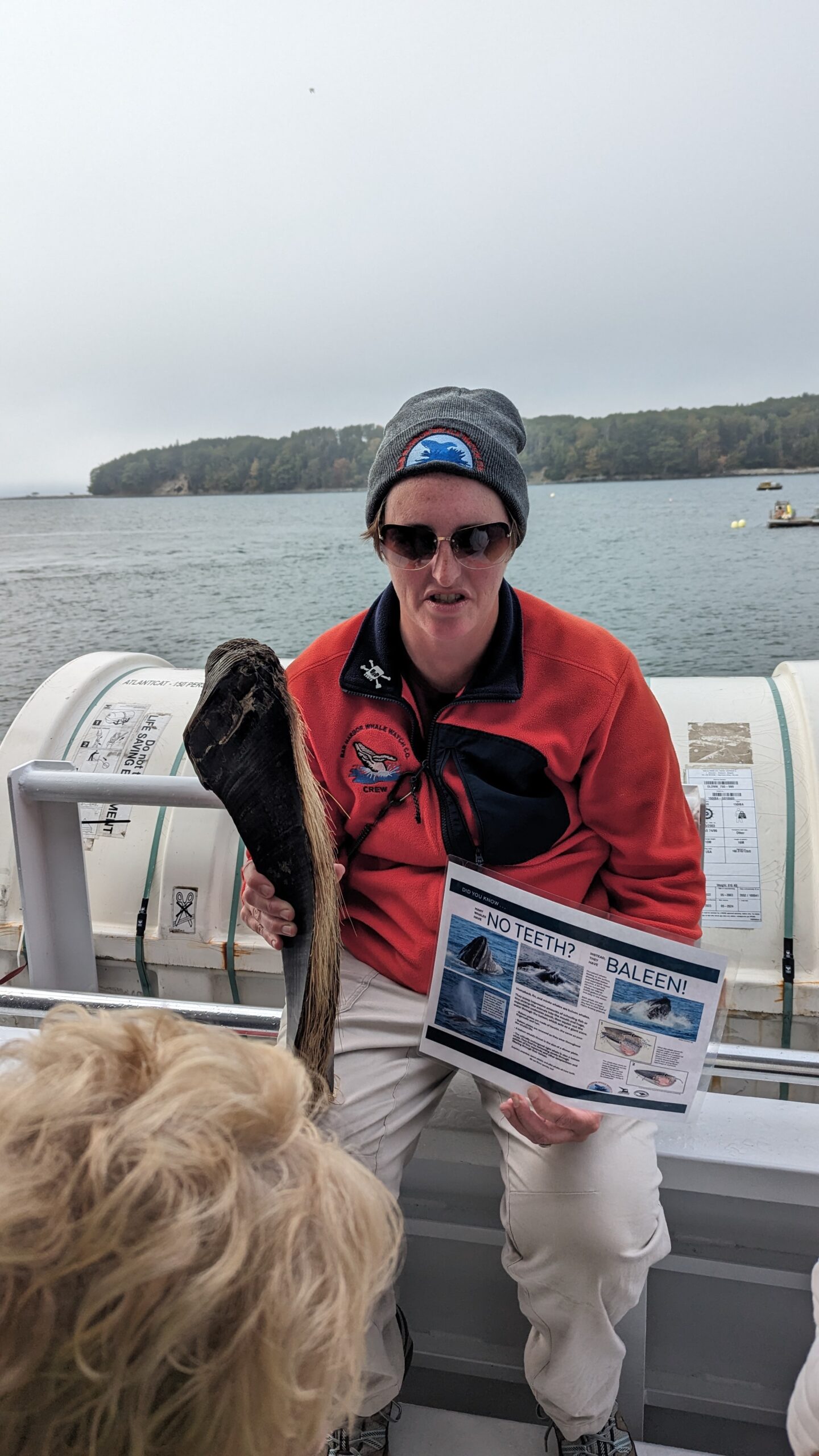 Bar Harbor Whale Watching