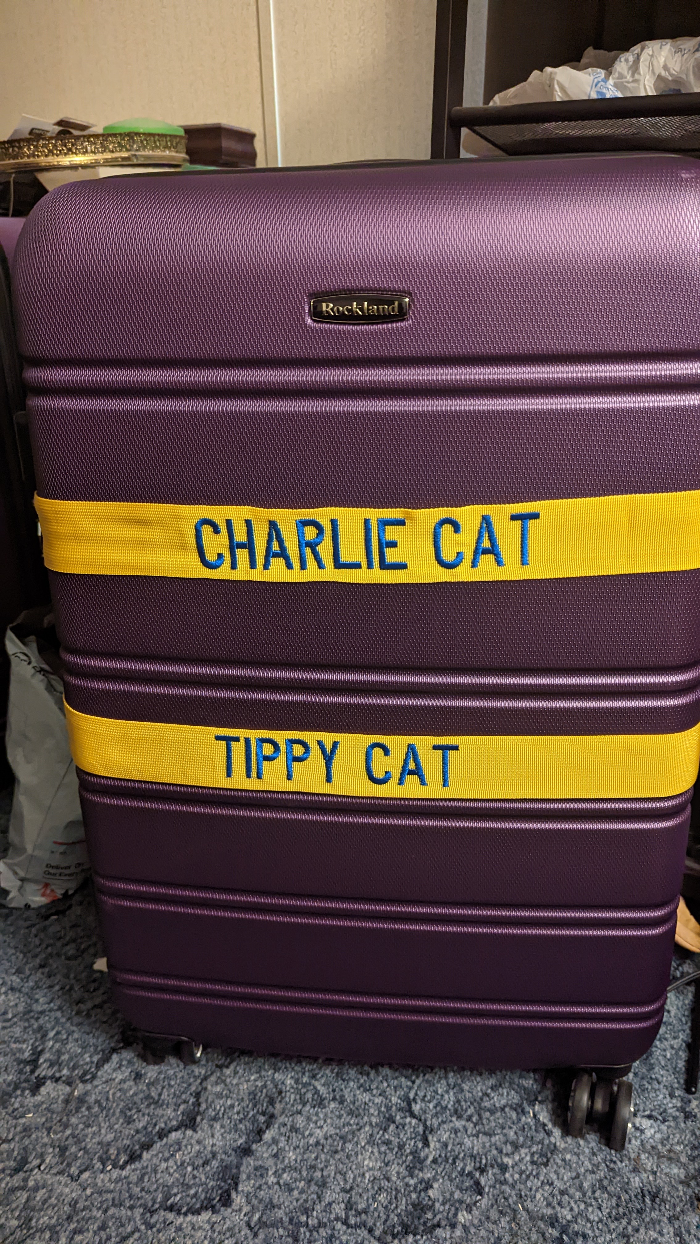 pxl 20221001 144203397.mp 