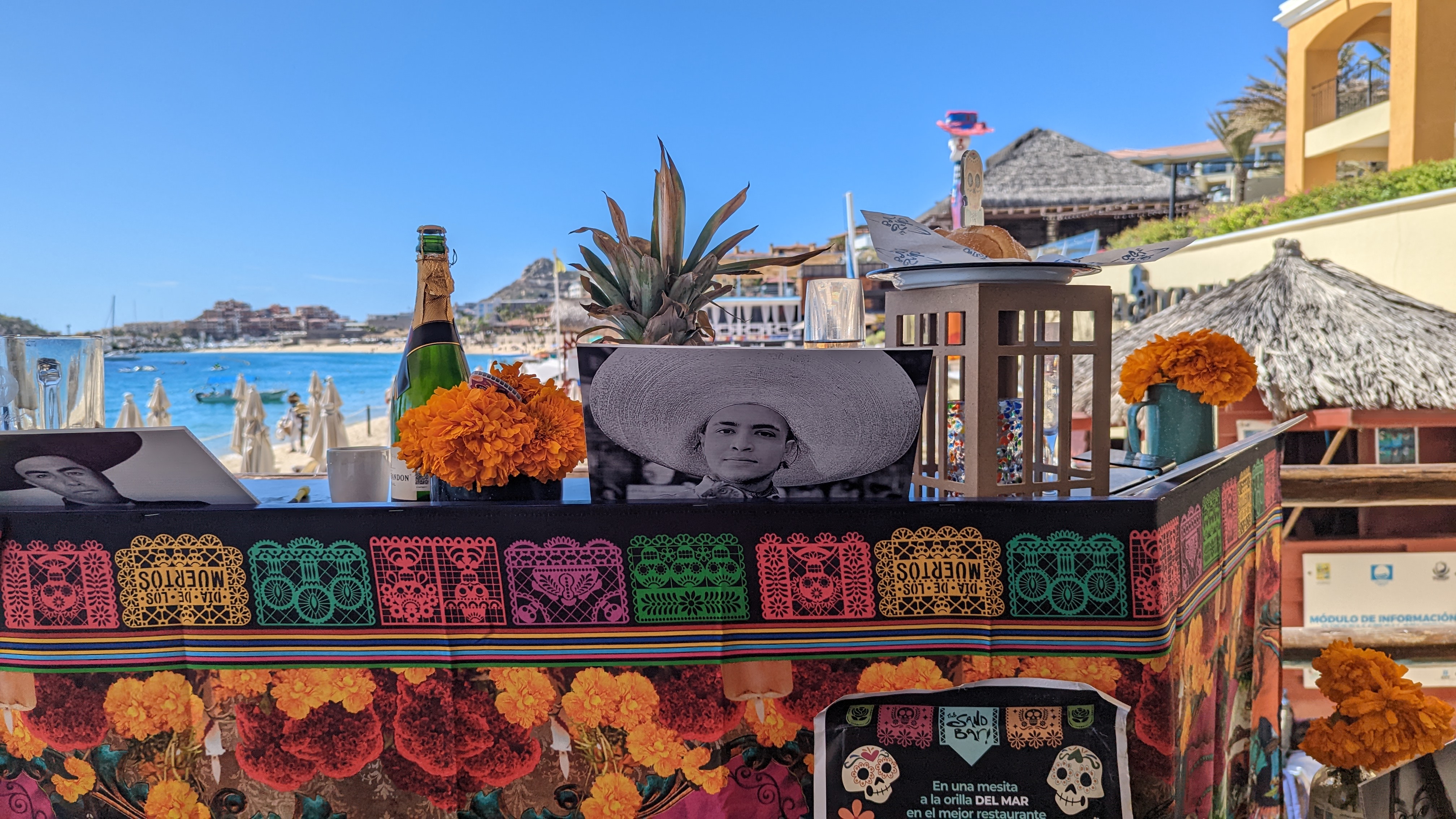 pxl 20221029 175619434.mp 