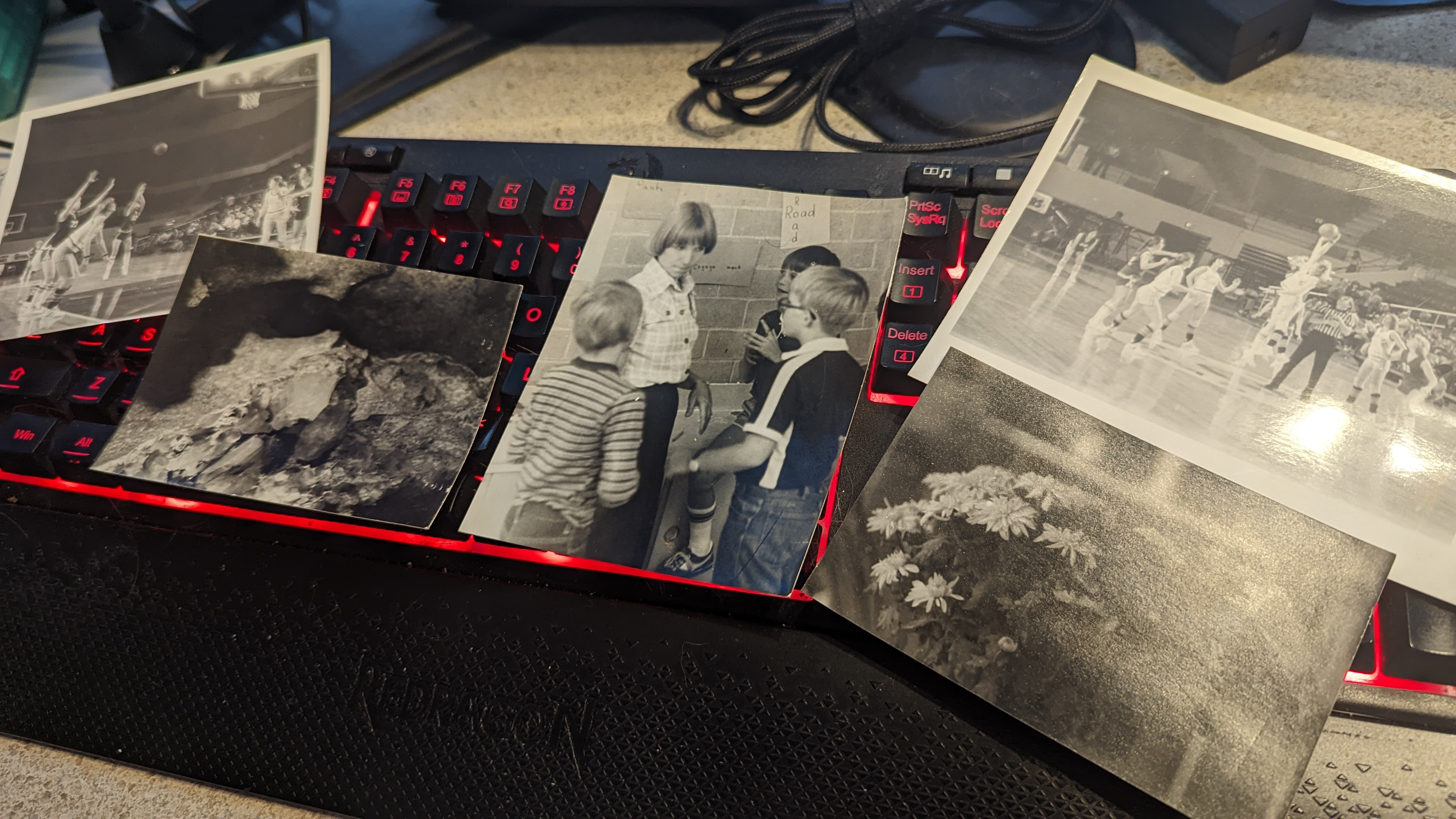 pxl 20221010 135119779.mp